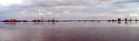 frühlingshochwasser der elbe. ertrunkenes land vor tangermünde, am 27. märz 2005